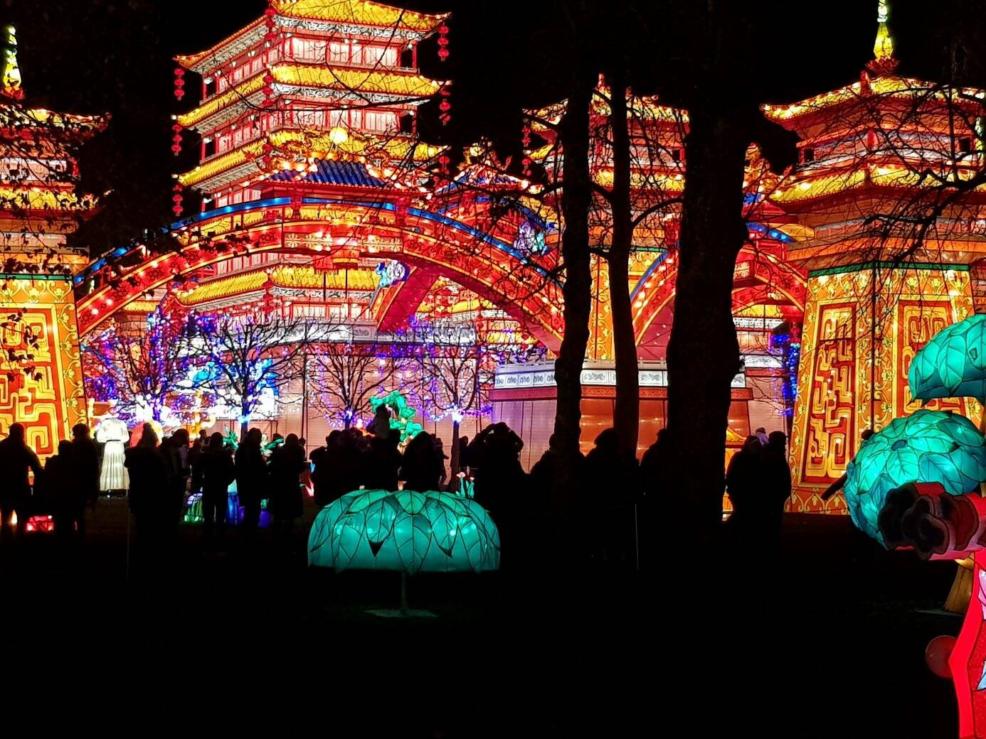 Un rêve éveillé (©DR) Un rêve éveillé (©DR)