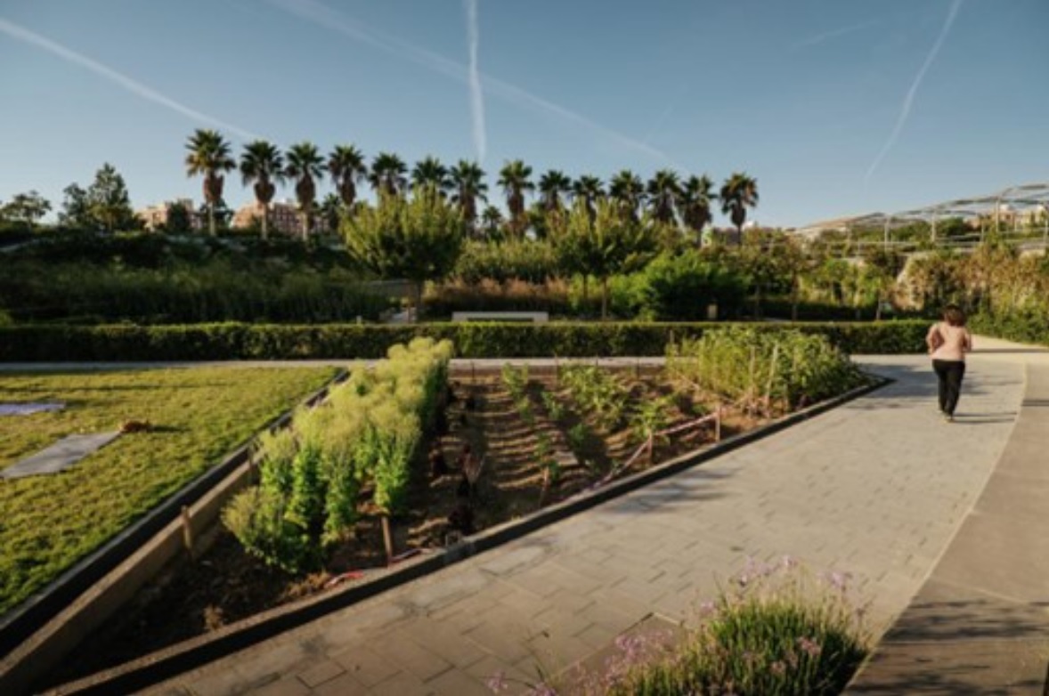 Il existe à València des initiatives en faveur de la mobilité durable, de la bonne gestion des déchets urbains et de la récupération d'espaces publics. Jardin potager, Parc Central - DR : Visit València