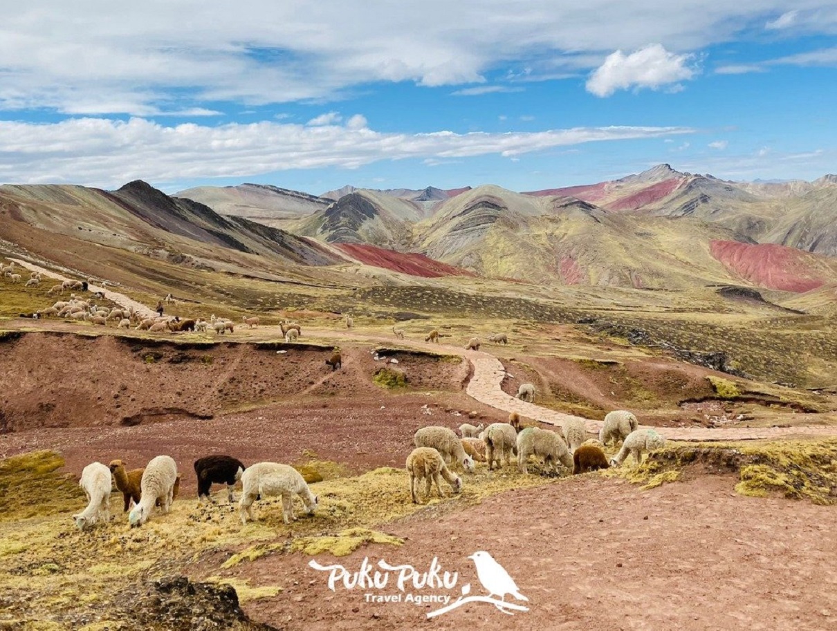 Le tour-opérateur francophone installé à Cusco Pukupuku Travel - Pour en savoir plus sur les Césars du Voyage Responsable cliquez sur l'image