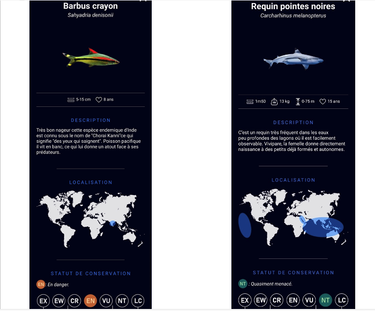 Exemple de fiches sur les poissons reconnus (©Tiko)