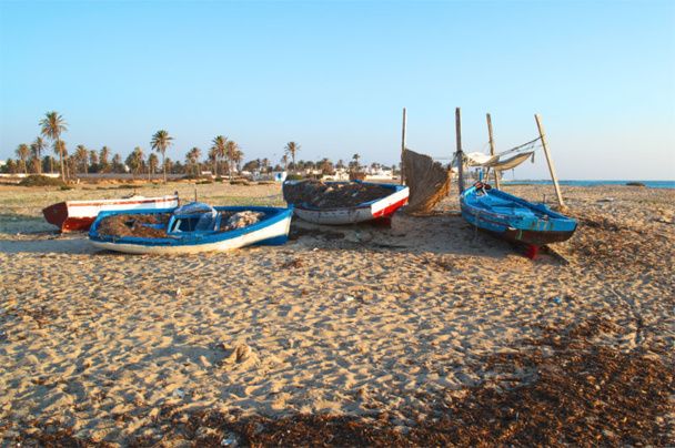 Djerba : la grève des bagagistes n'entamera pas la reprise du tourisme