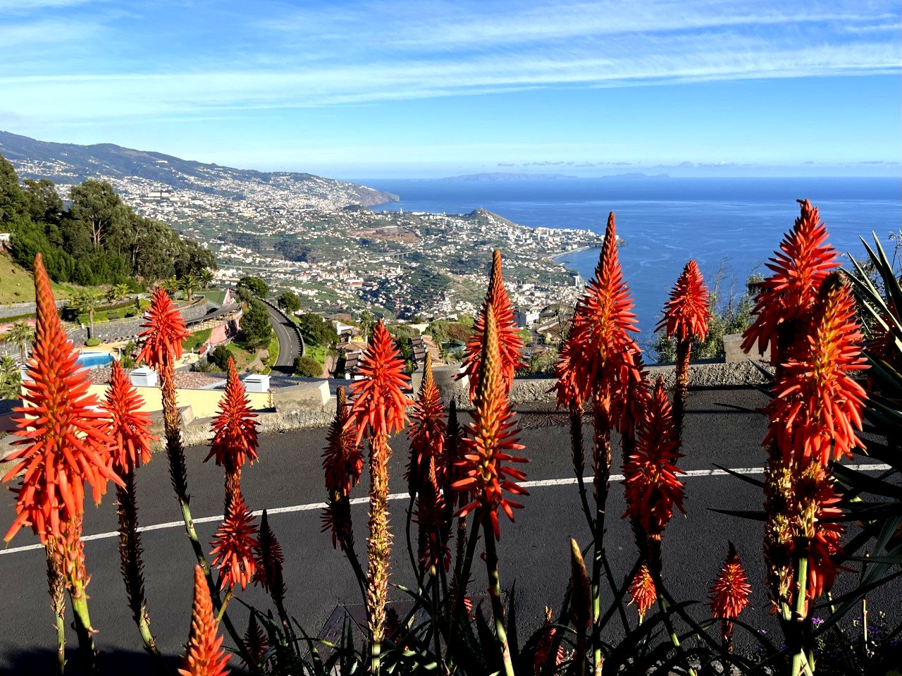 Carnaval - Visit Madeira  Site officiel de l'office du tourisme