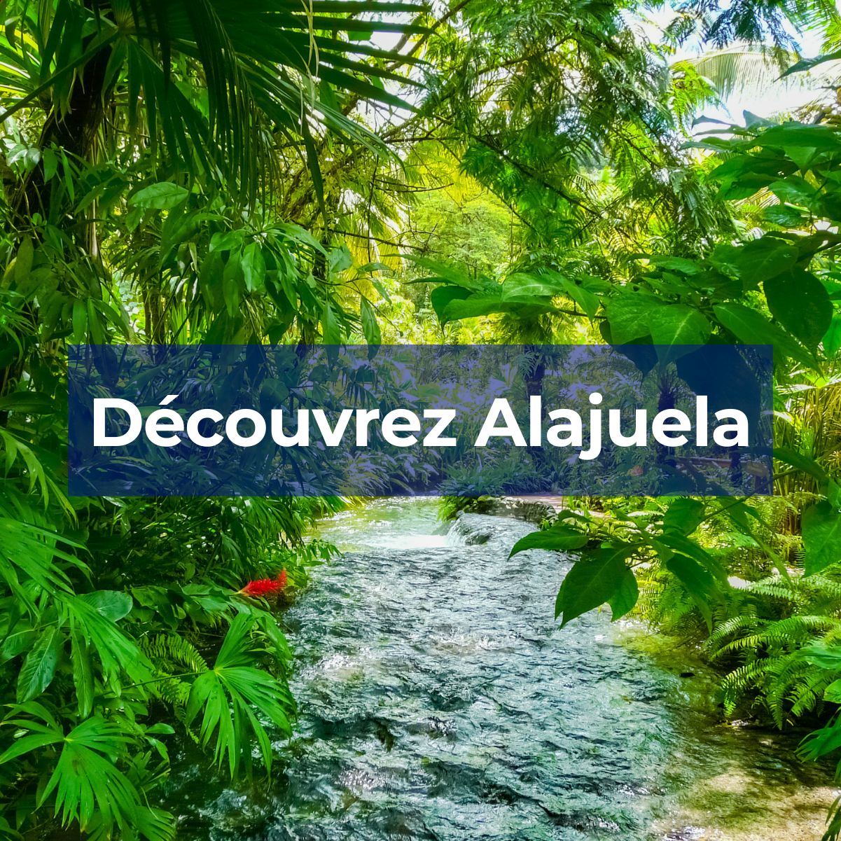 Alajuela : une ville aux pieds du Volcan Poas
