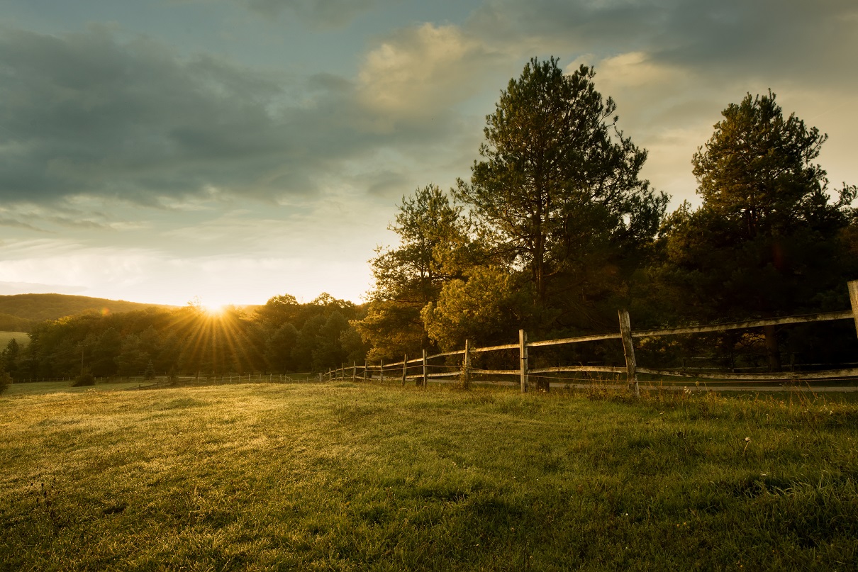 À la campagne, la forêt constitue l’une des composantes dominantes. Elle renvoie généralement à une notion de différence entre l’ici et l’ailleurs - Depositphotos.com Auteur Geribody