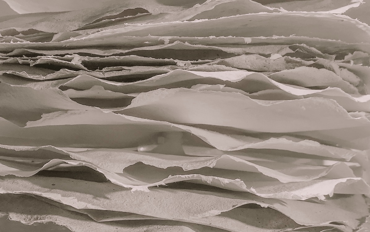 choisir un papier recyclé, au bon grammage et issu de forêts écogérées - photo : jan-antonin-kolar-unsplash choisir un papier recyclé, au bon grammage et issu de forêts écogérées - photo : jan-antonin-kolar-unsplash