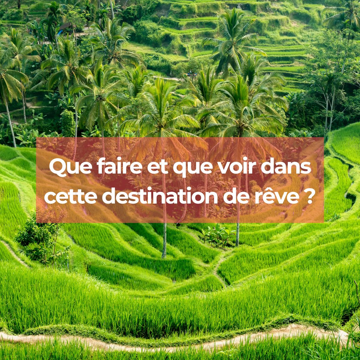Bali : Une Destination de Rêve pour un voyage inoubliable