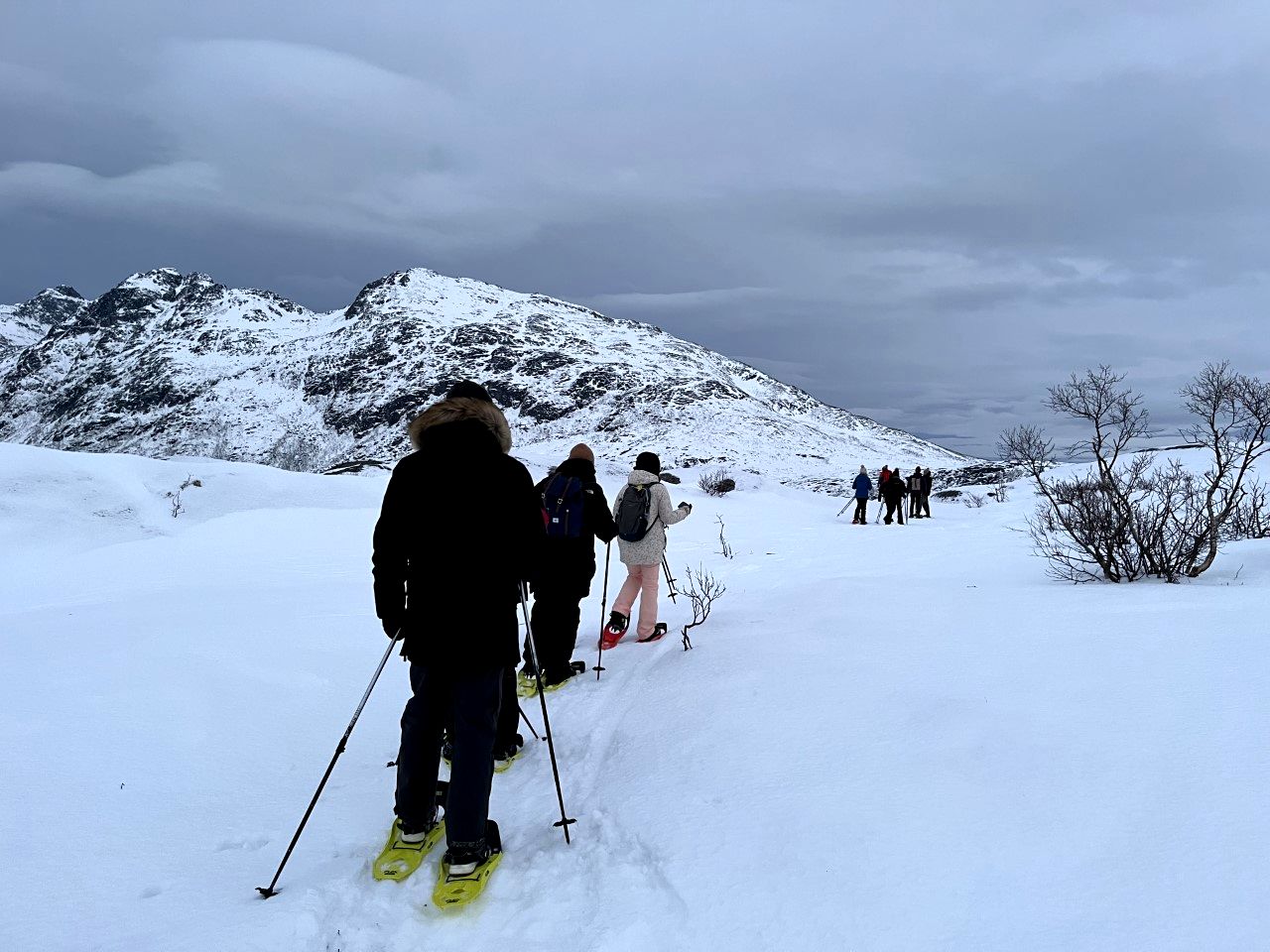 Sur les pentes du Ersfjord, il avait neigé mais moins qu'autrefois (@PB)