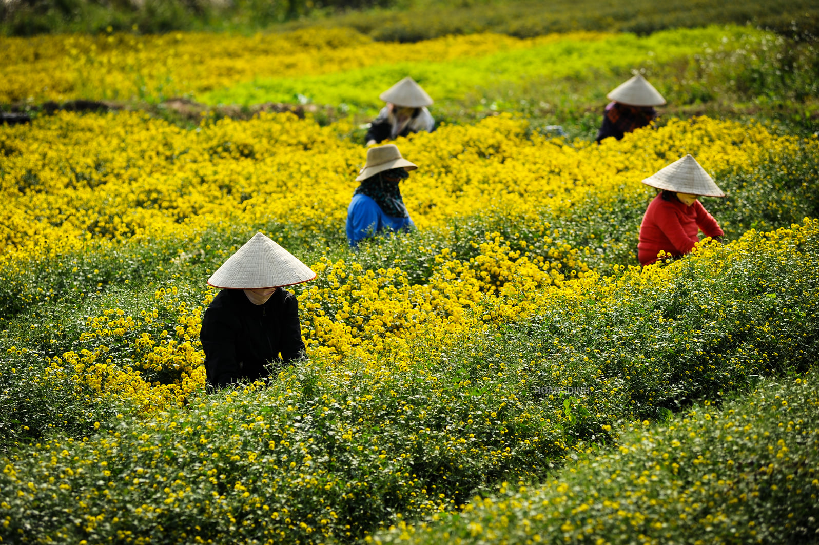 © Authentik Vietnam