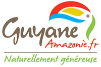 Chaque jour, le projet Guyane Inside se dévoile en vidéo