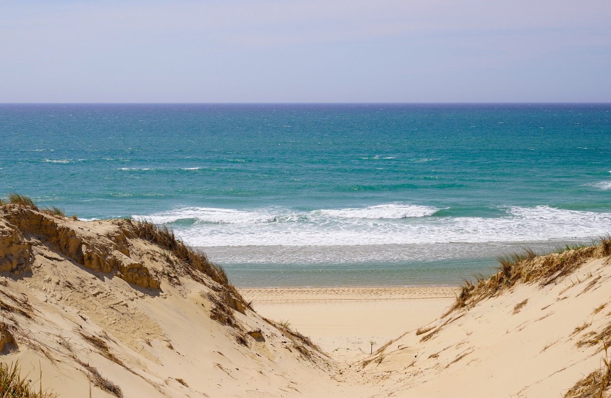 Chaque année, le trait de côte recule de 2,50 mètres en Gironde, 1,70 mètres dans les Landes et que d’ici à 2050, l'océan devrait avancer de 50 mètres ! - Depositphotos.com  Auteur OceanProd