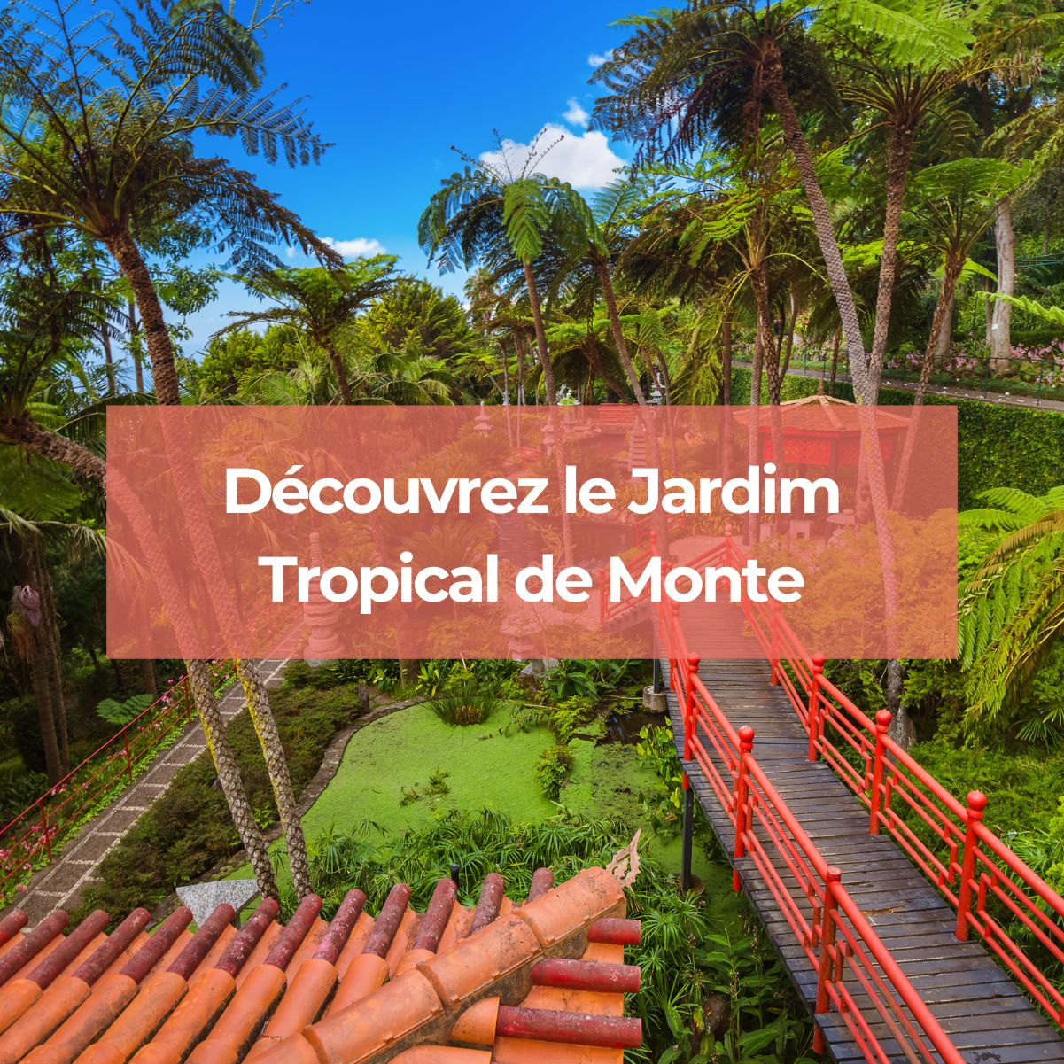 Le Jardim Tropical de Monte est un lieu incontournable que vous devez visiter lors de vos vacances au Portugal.