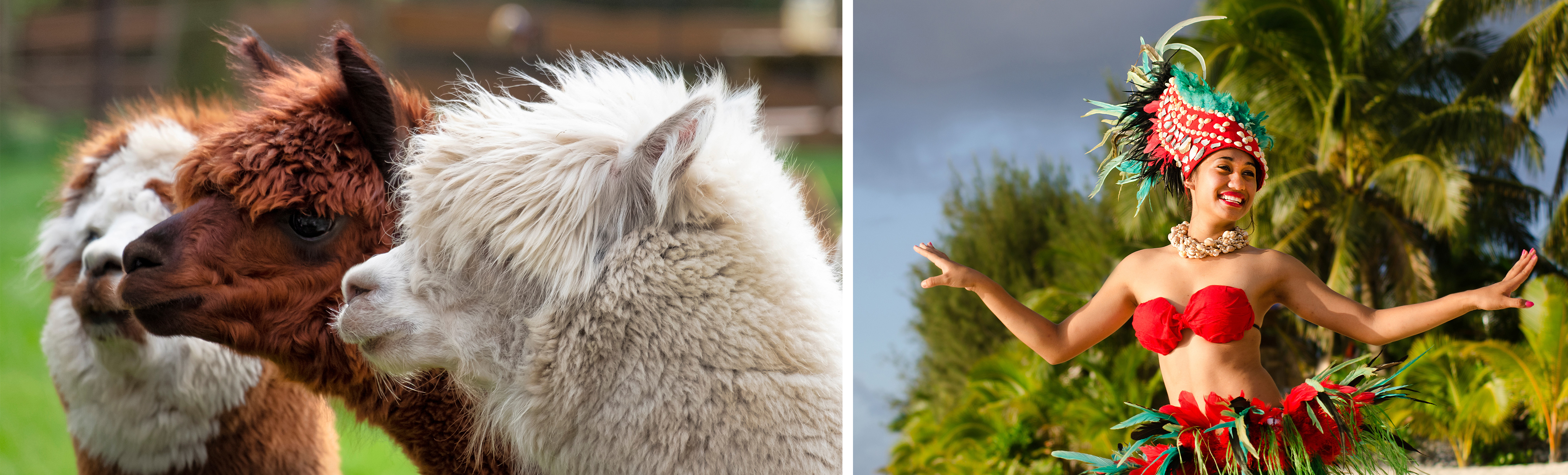 © Shutterstock © Shutterstock