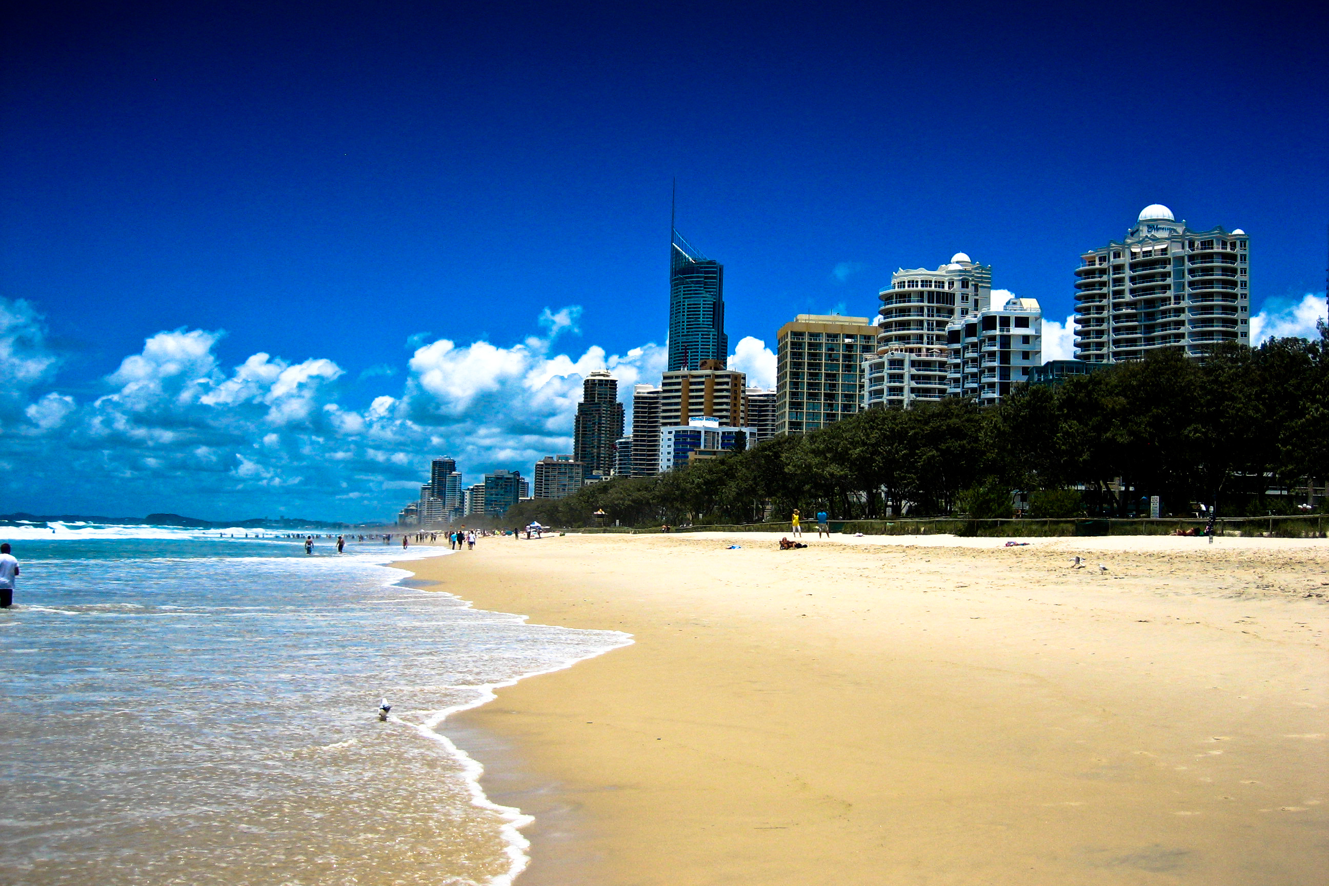 Surfers Paradise © hela7984 - stock.adobe.com