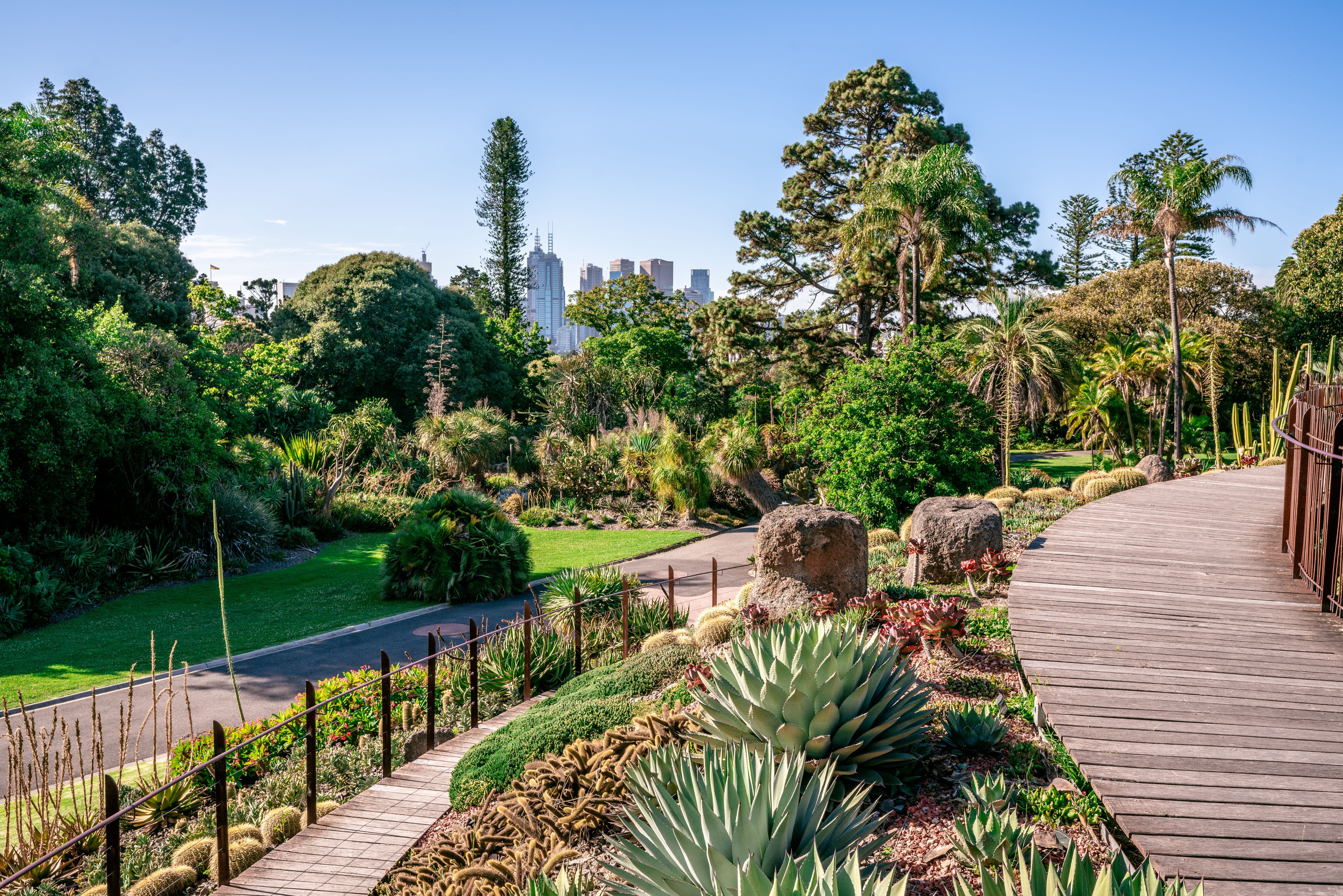 Vue panoramique sur les jardins botaniques royaux de Melbourne VicAustralia © Keitma - stock.adobe.com