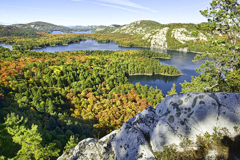 Parc Algonquin © Destination Ontario