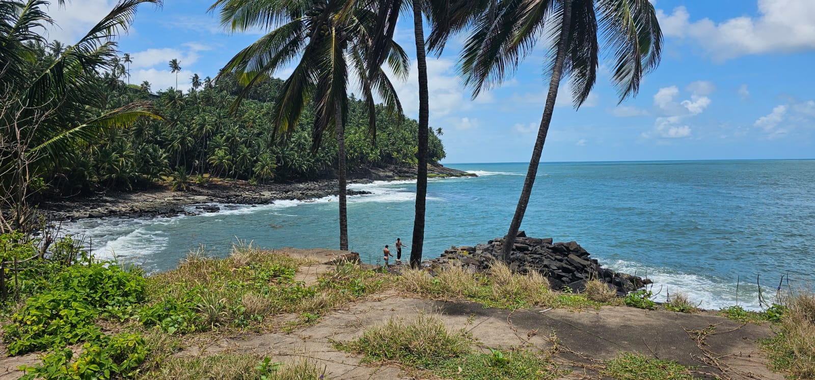 Paysage exotique de l'île Royale, îles du Salut (©BC)