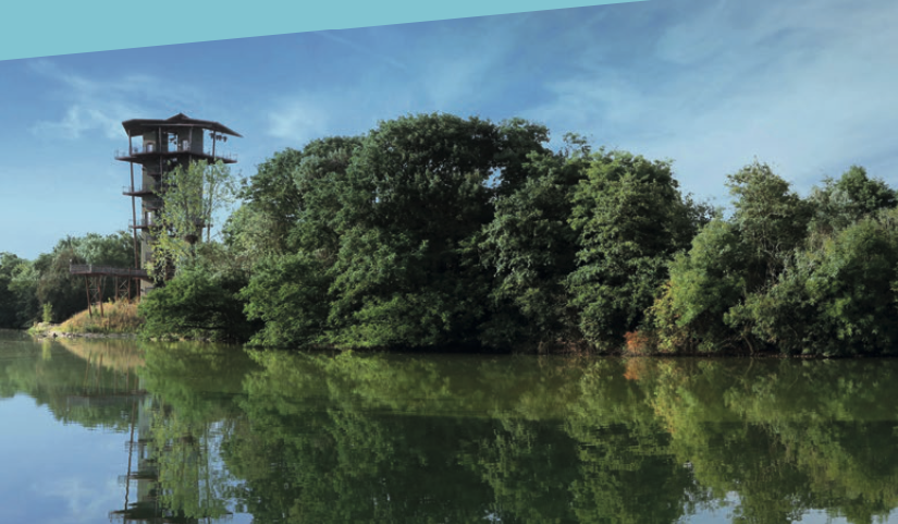 La fameuse Tour panoramique qui domine le parc (©Parc Oiseaux)