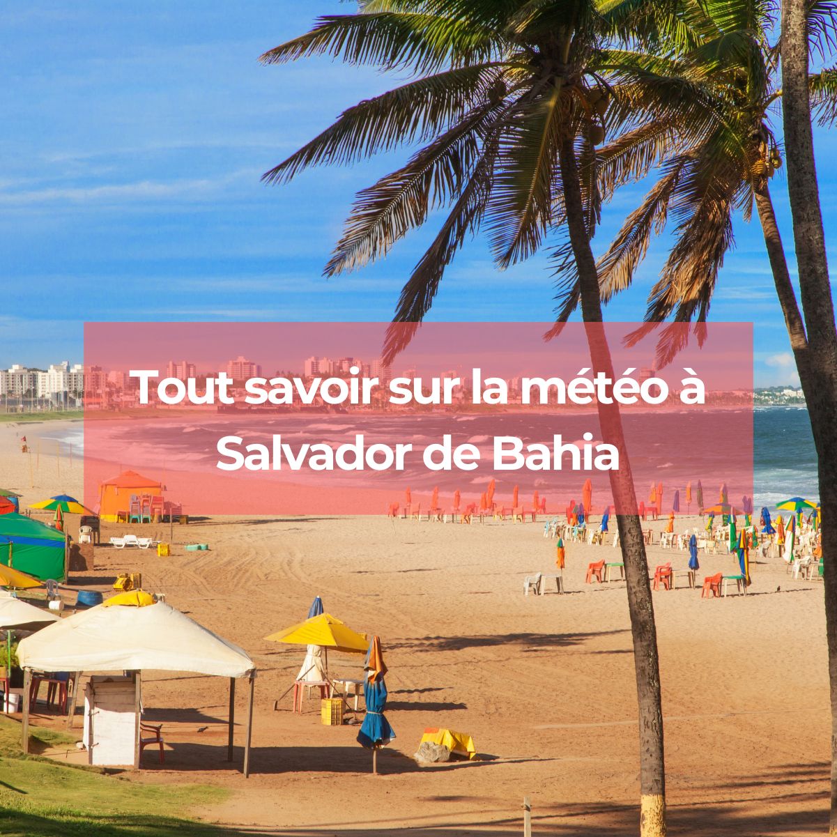 Tout savoir sur la météo à Salvador de Bahia