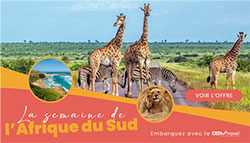 © DR Cediv Travel © DR Cediv Travel