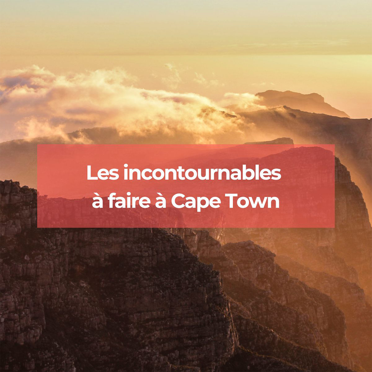 Voyage à Cape Town : voici les incontournables Voyage à Cape Town : voici les incontournables