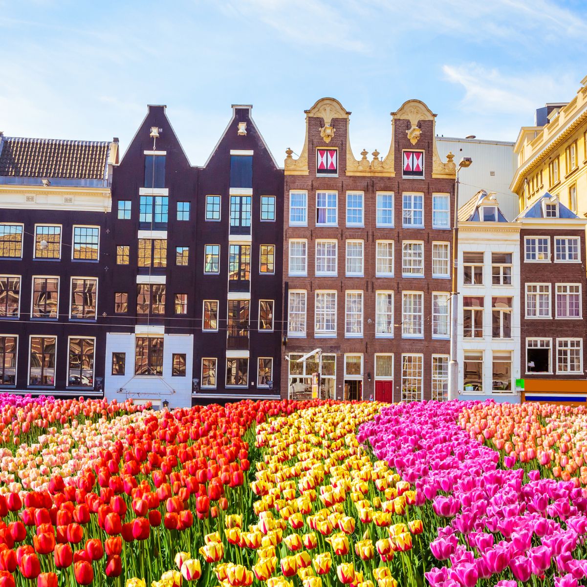 Amsterdam : explorez la ville aux multiples visages et découvrez ses secrets cachés !