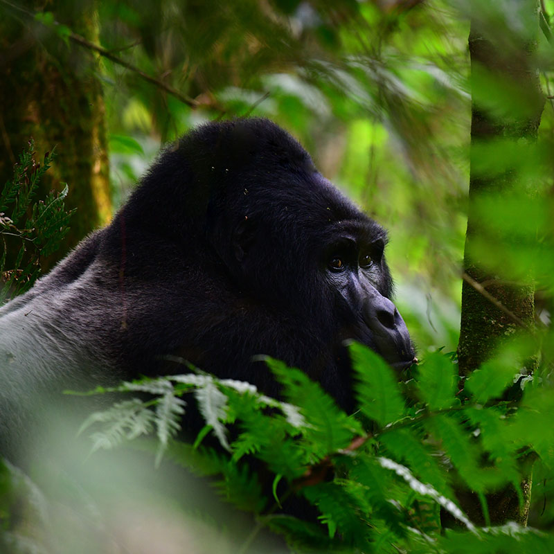 La collection Nouvelles Frontières promet des voyages riches en découvertes et en émotions © Getty Images La collection Nouvelles Frontières promet des voyages riches en découvertes et en émotions © Getty Images