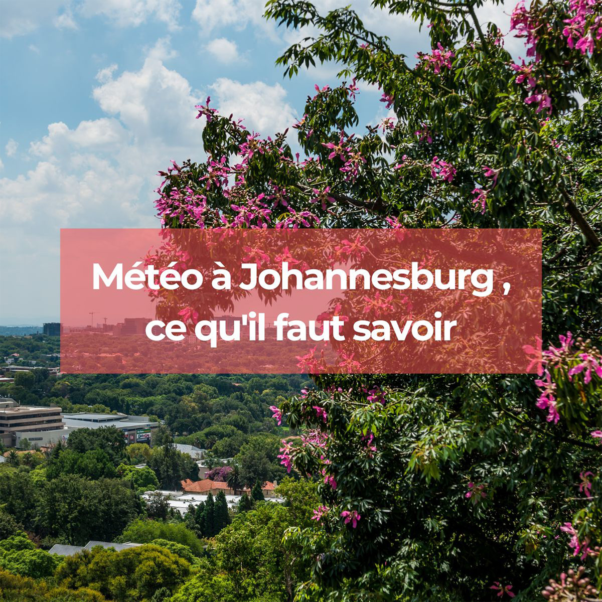Météo à Johannesburg, ce qu'il faut savoir Météo à Johannesburg, ce qu'il faut savoir