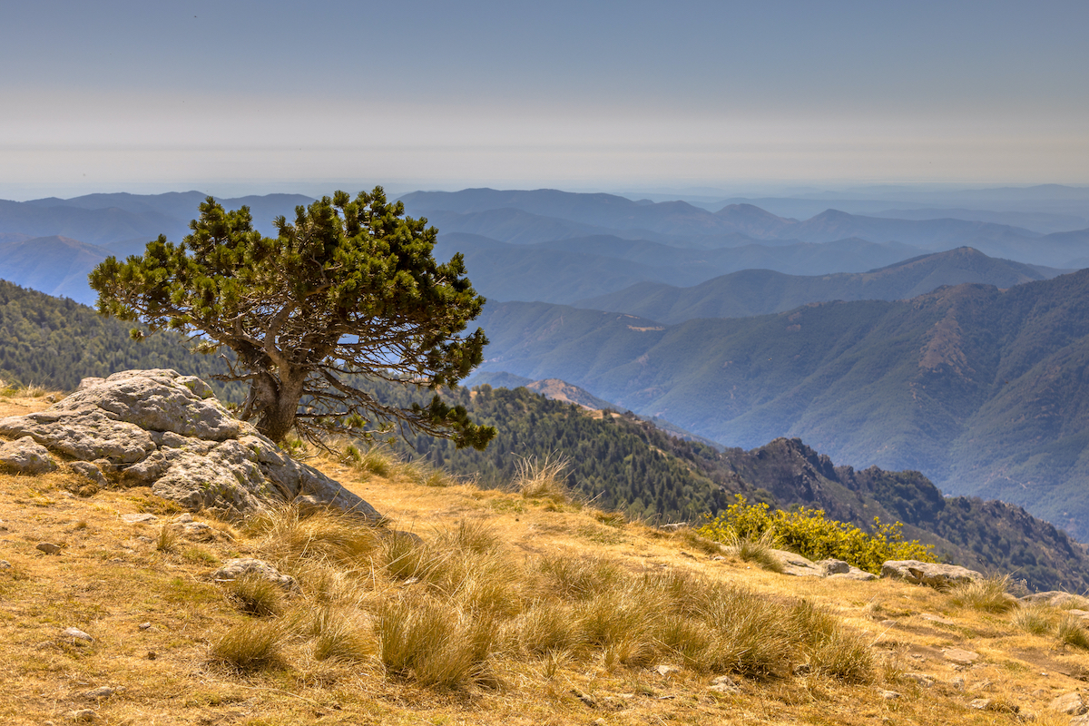 Paysage des Cévennes autour du Mont Aigoual dans le Gard (©Deposit Photos)