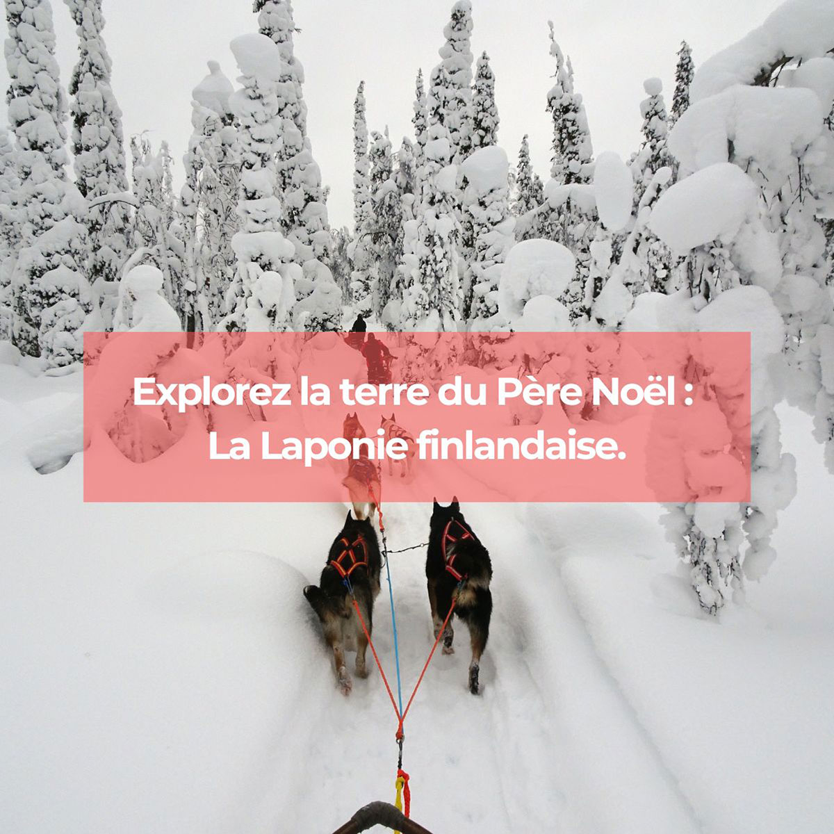 Explorez la terre du Père Noël : la Laponie finlandaise