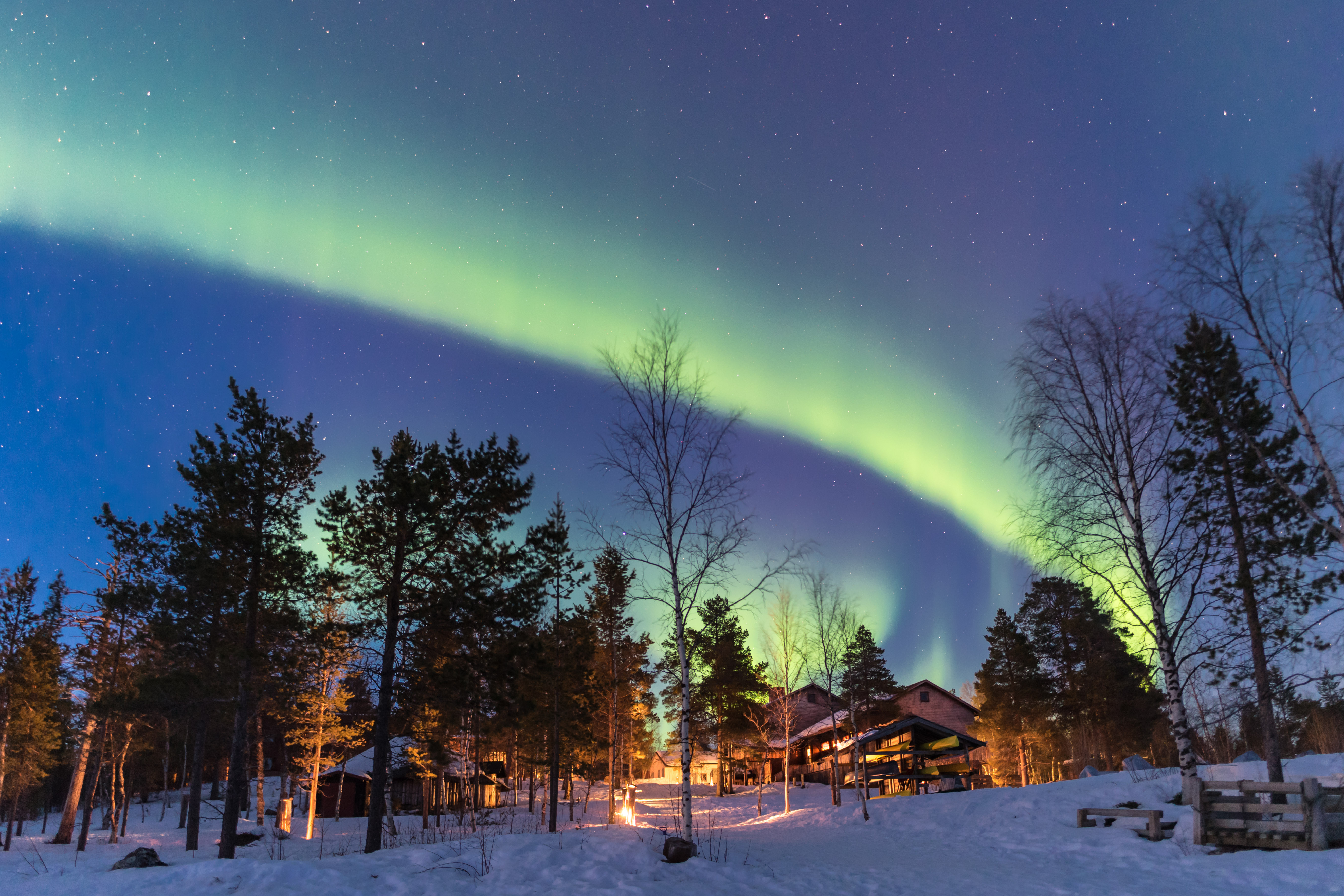 Ceinture d'aurores boréales vertes dans un ciel bleu au-dessus d'un chalet dans la forêt de Laponie © Simone - stock.adobe.com