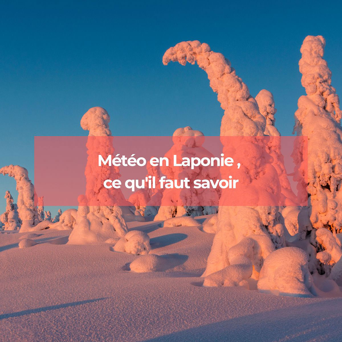 Météo en Laponie, ce qu'il faut savoir