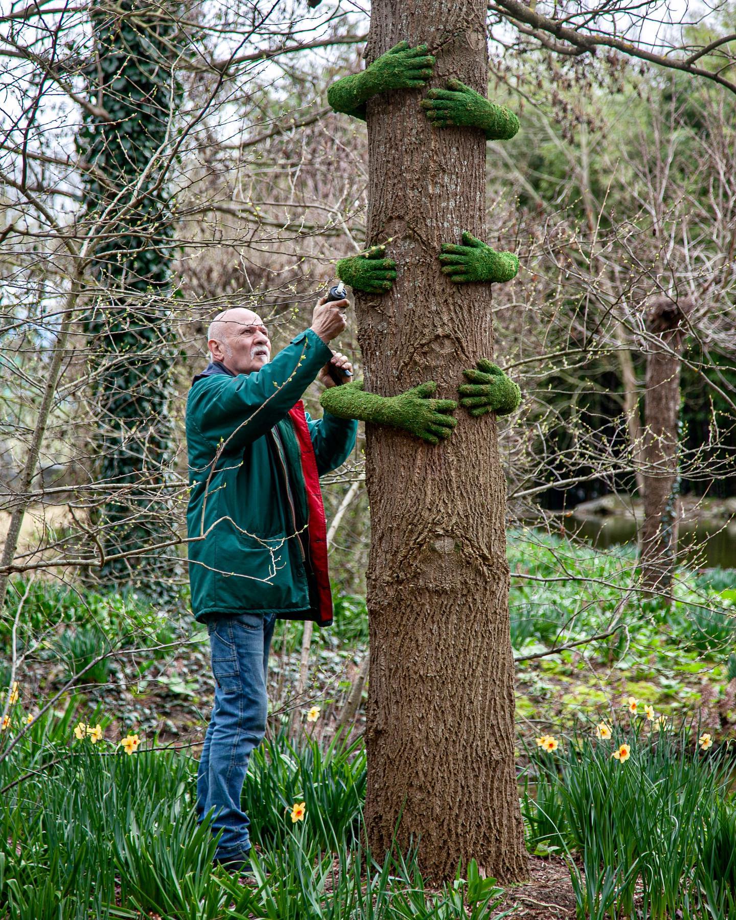 Monsieur Plant installe ses Tree Hugs (©Monsieur Plant)