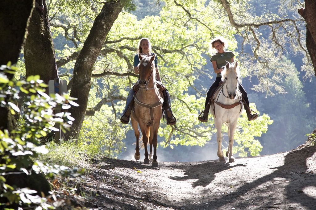 Tourisme de luxe : les voyageurs sont demandeurs "d'expériences à cheval inédites, voire exclusives pour vivre des choses intenses" - Photo : Depositphotos.com, @JEVader