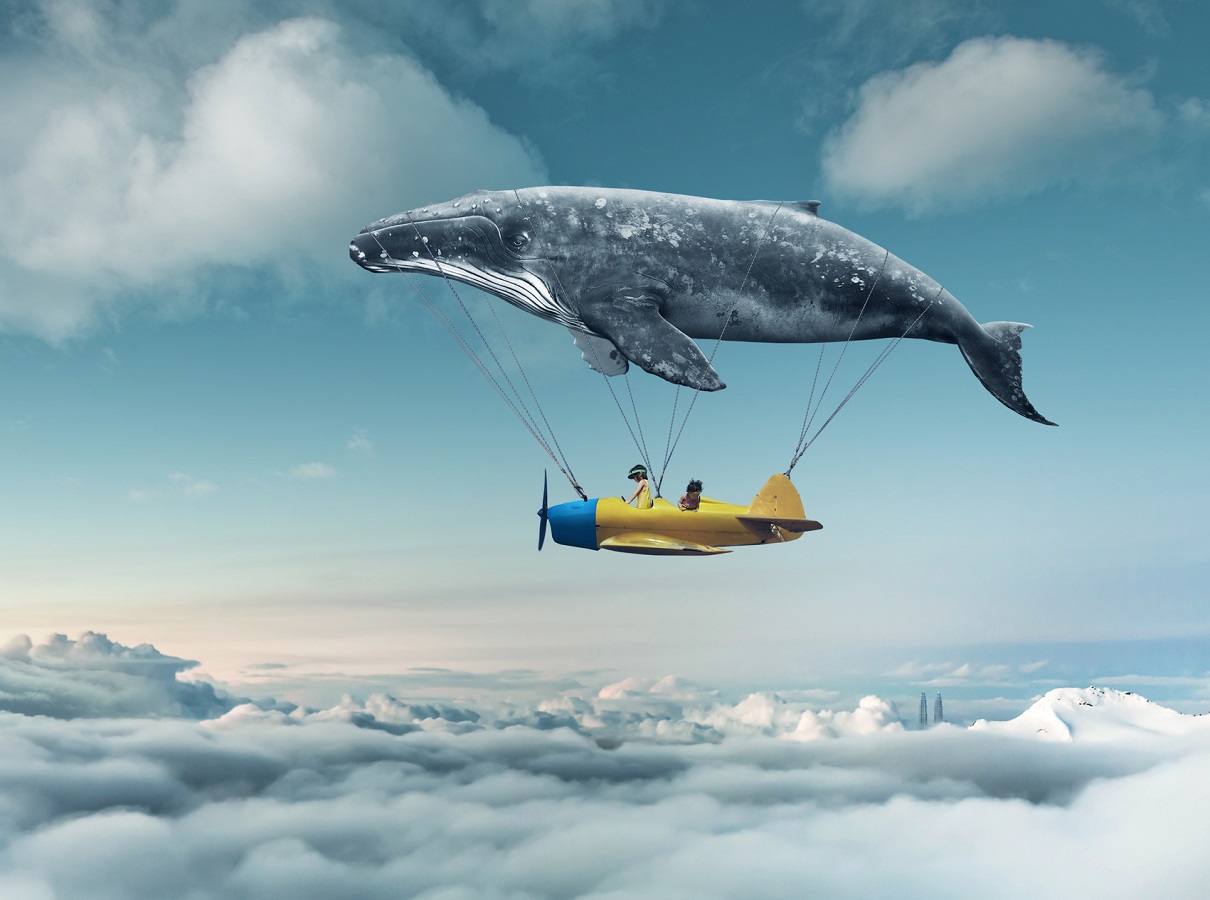 Emmanuel Macron veut faire de la France, la championne de l'avion ultra sobre - Depositphotos @jamesteohart Emmanuel Macron veut faire de la France, la championne de l'avion ultra sobre - Depositphotos @jamesteohart