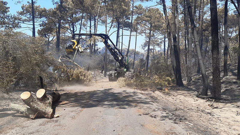 Horizon Voyages un an après Horizon Voyages un an après