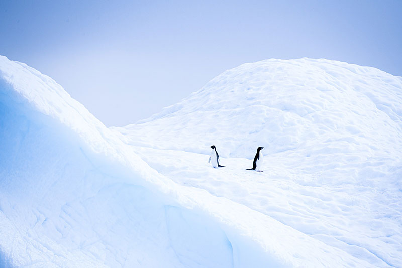 © Studio PONANT - Adrien Morlent © Studio PONANT - Adrien Morlent