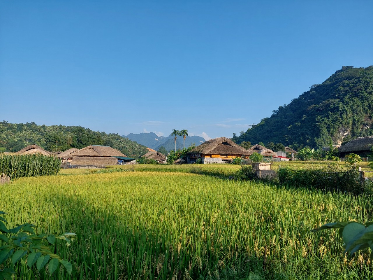 © Authentik Vietnam © Authentik Vietnam