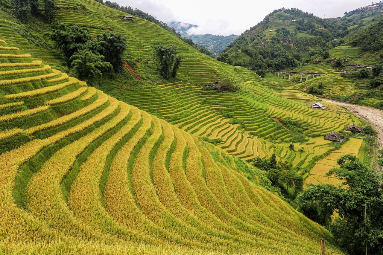 © Authentik Vietnam © Authentik Vietnam