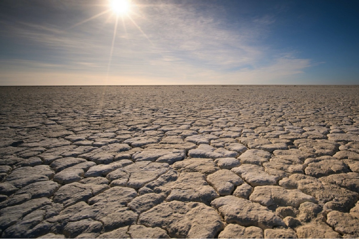 Crise climatique : l'été 2023, l'été de tous les records - DR : oleksandr-sushko_Unsplash