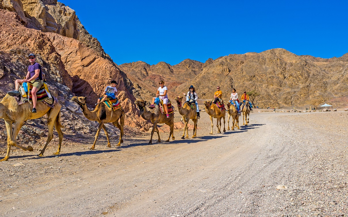 Balade en chameau à la découverte de l'Atlas marocain - Photo : Depositphotos.com - Auteur : efesenko