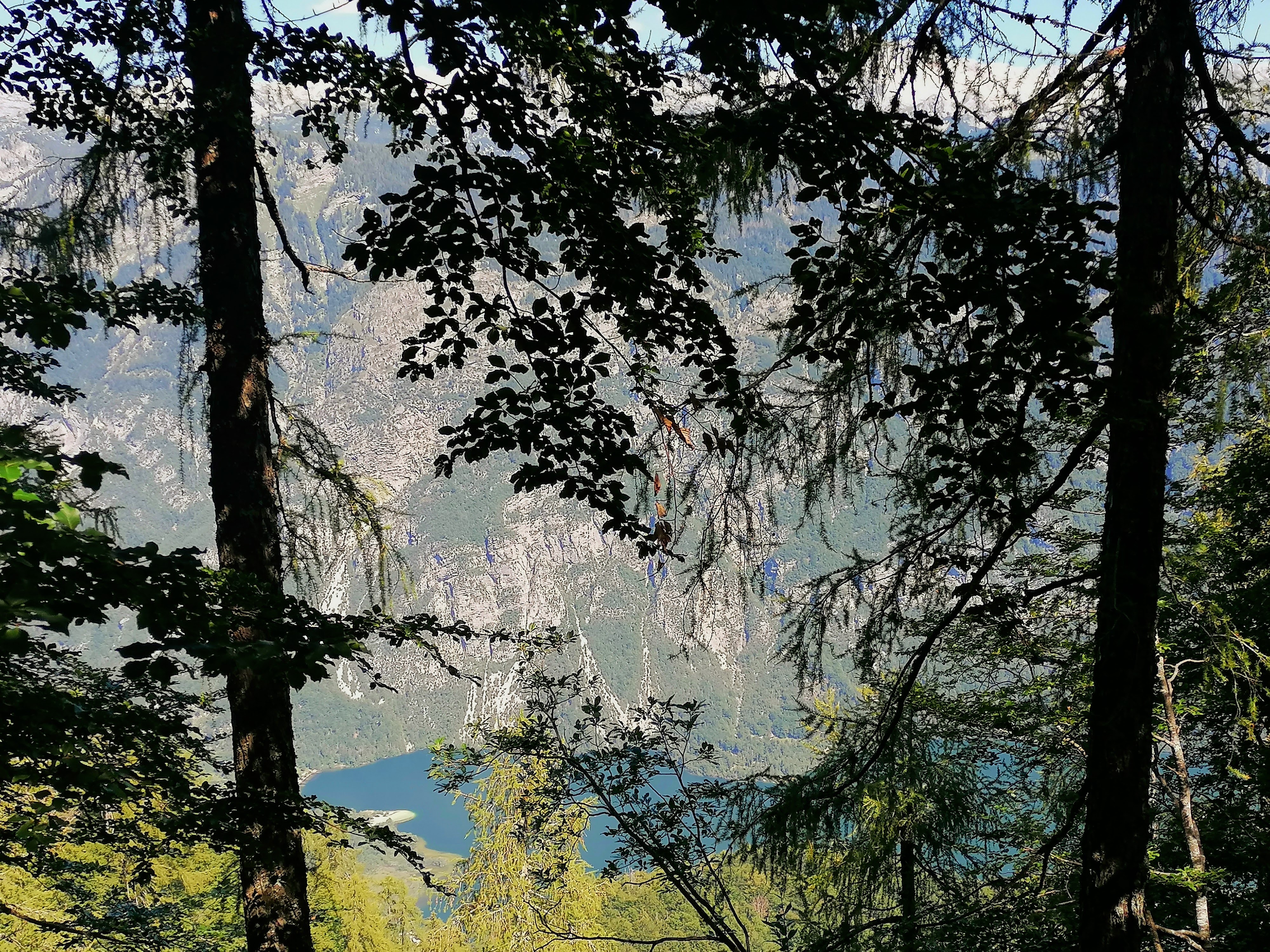 Le lac de Bohinj, depuis la forêt en descendant de la station de ski de Vogel, très prisée des Slovènes l'hiver - DR : Juliette Pic