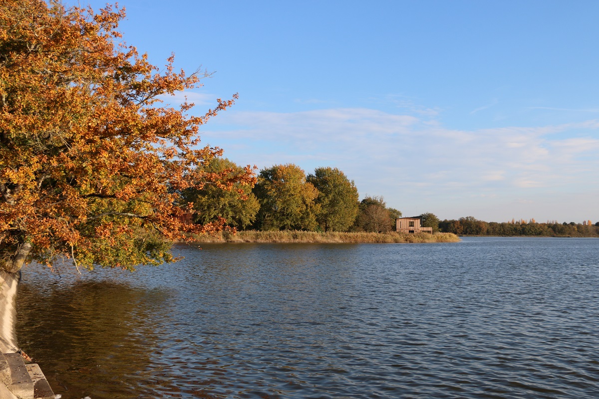 Voyage en pleine nature, dans le Parc naturel régional de la Brenne