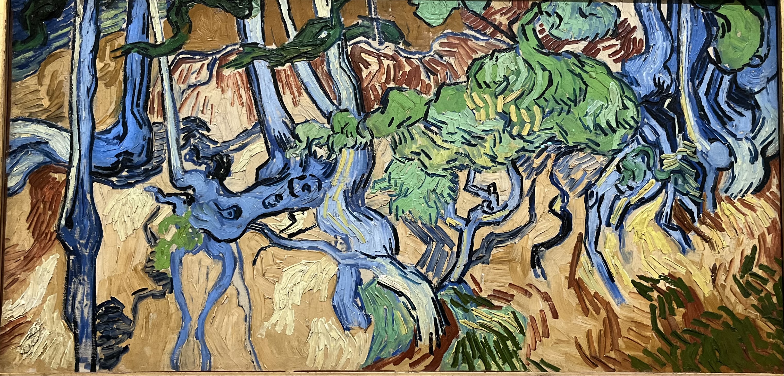 Cet entrelacs de racines dénudées, cadré très près, est la dernière oeuvre peinte par Van Gogh avant son suicide (Photo PB) Cet entrelacs de racines dénudées, cadré très près, est la dernière oeuvre peinte par Van Gogh avant son suicide (Photo PB)
