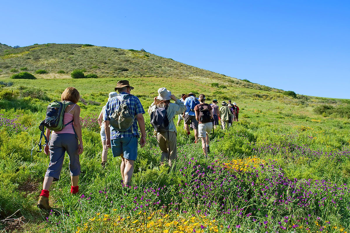 Groupe de randonneurs © Shutterstock 6189232