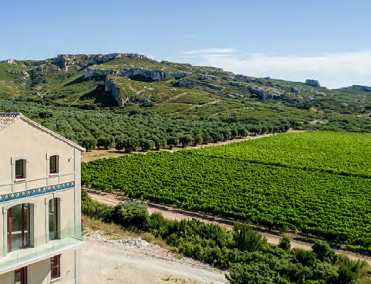 3 circuits oenotouristiques sont proposés par la destination "Vignobles de Salon-de-Provence Terres de Provence", nouvellement labellisée Vignobles & Découvertes ©Pierre Soissons