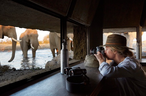 Selon le réseau Virtuoso, le tourisme de luxe participe à la préservation des espèces menacées (©Voyages confidentiels)