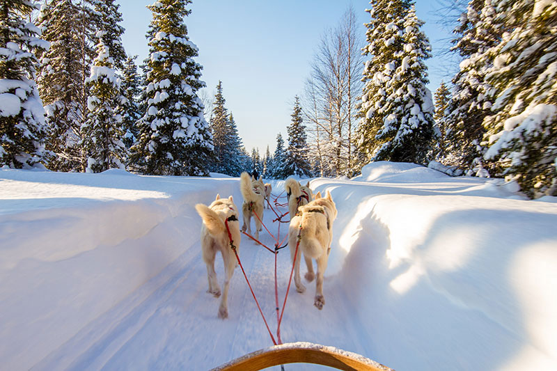 © Mondial Tourisme