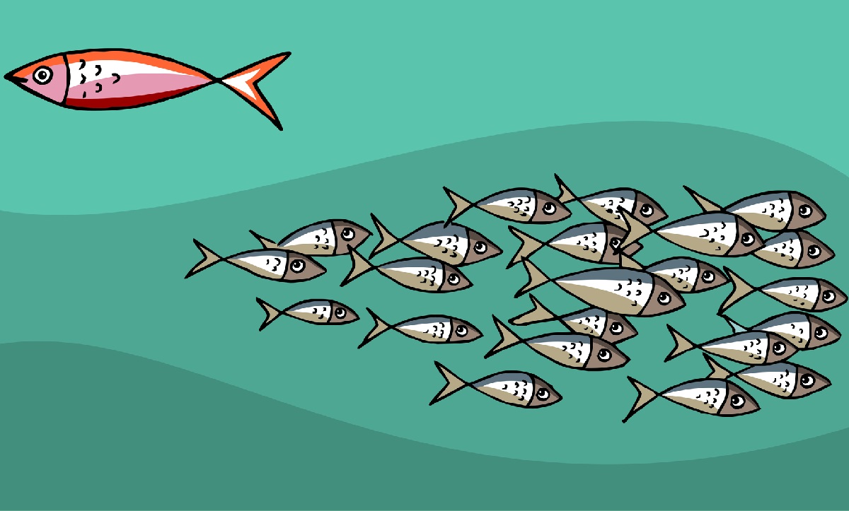 Réseau or not réseau : ces agences de voyages ont décidé de rester indépendant - Depositphoto.com Réseau or not réseau : ces agences de voyages ont décidé de rester indépendant - Depositphoto.com