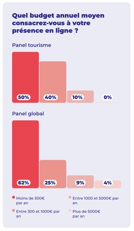 Graphique sur le budget alloué à la présence en ligne - Source Afnic Graphique sur le budget alloué à la présence en ligne - Source Afnic