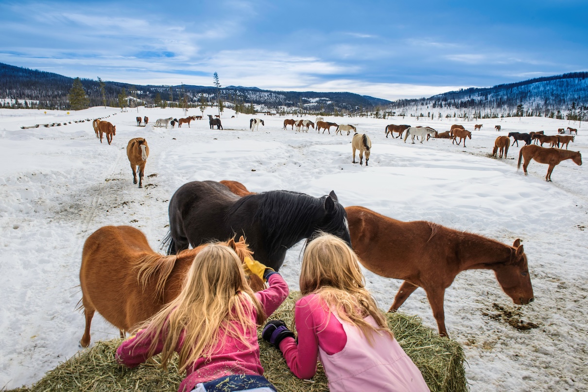 Au Colorado, le séjour d’hiver dans un ranch - Jetset Voyages